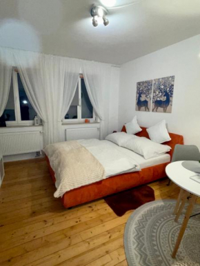 Vintage Apartment Nuremberg Old Town